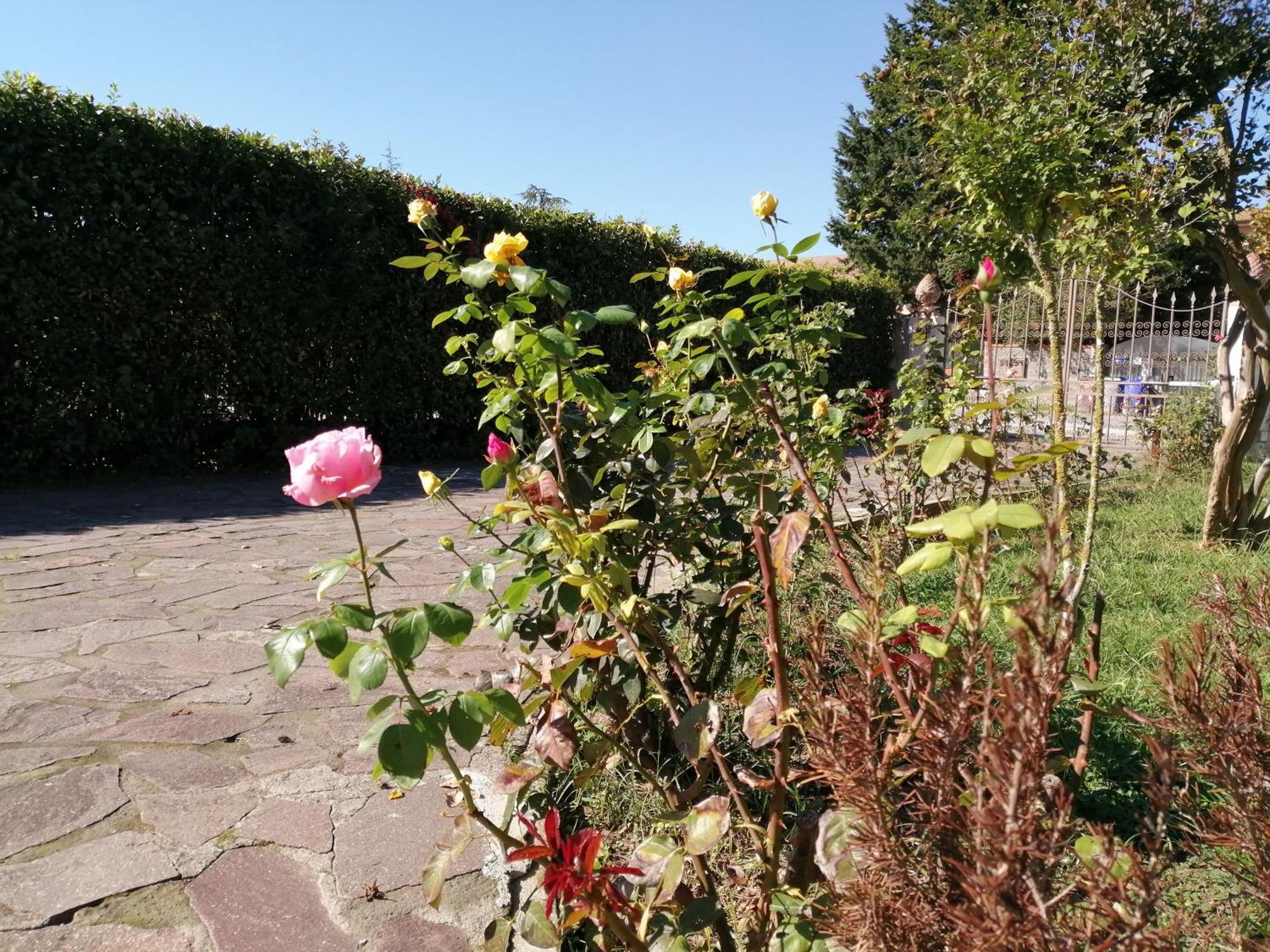 Oasi Bed & Breakfast